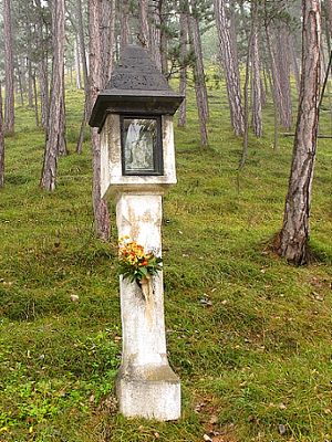  Weies Kreuz im Grillenbergtal 